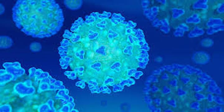 Risk Lessons from the Pandemic Warfront