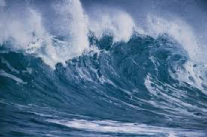 DOJ Criminal Investigations: “Boiling the Ocean” and Other Fish Tales (Part II of IV)