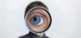 The Value of a Vigilant Internal Audit Program