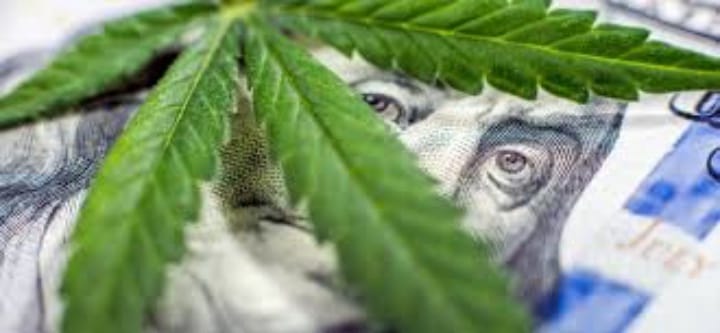 U.S. Marijuana Laws Cause Uncertainty for Financial Institutions