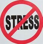 Chief Compliance Officers and Stress