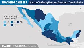 The Brave New World -- Due Diligence to Identify Cartels and TCOs