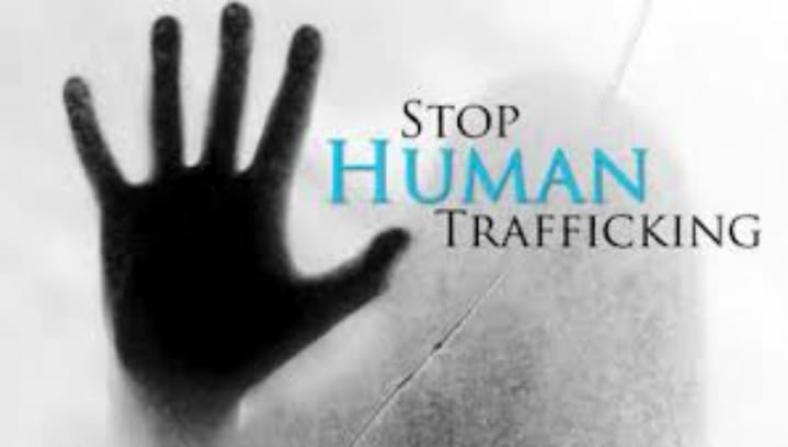 Putting a Stop to Human Trafficking