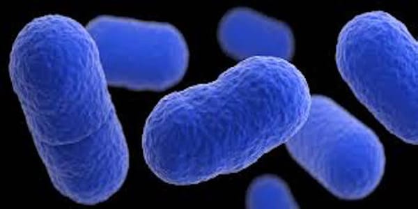 DOJ Resolves Two Important Food Safety Criminal Cases: Blue Bell Creameries and Chipotle Mexican Grill (Part I of II)