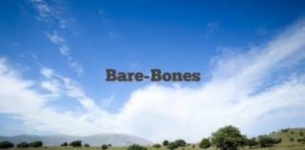 The Delusion of a Barebones Compliance Program