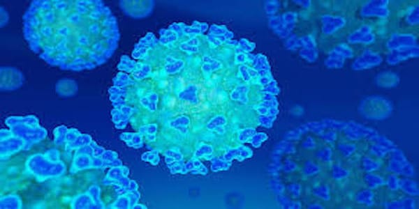 Risk Lessons from the Pandemic Warfront
