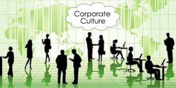 “Paralysis” and a Culture of Wrongdoing