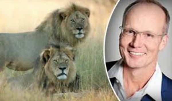 Cecil the Lion and Due Diligence Failures