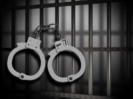 Criminal Sentencing of Corporations