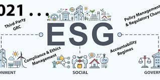 CCOs: Expert Problem Solvers