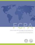 Reminder: Webinar January 22, 12 Noon -- The FCPA Guidance: How to Ensure an Effective Compliance Program