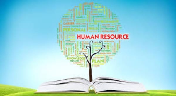 Compliance Missed Opportunities:  CCOs and HR