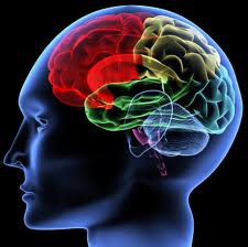 Compliance and the Criminal Mind