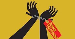 Human Trafficking and Government Contractors