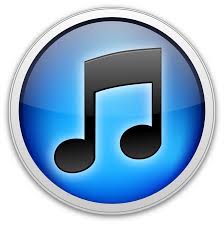 Volkov Law Group Webinars on ITunes