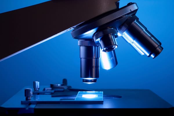 Chief Compliance Officers: Under the Microscope