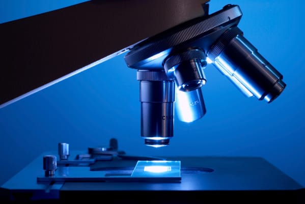 The Importance of Corporate Value Statements to Compliance Programs