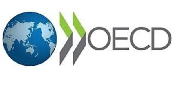 The OECD Report: Shedding Light on Foreign Bribery