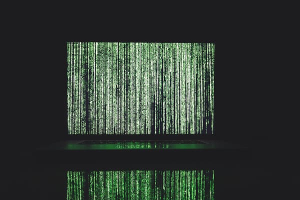 President Biden Issues Executive Order Concerning Bulk Data, With Parallels to Current Sanctions Regulations