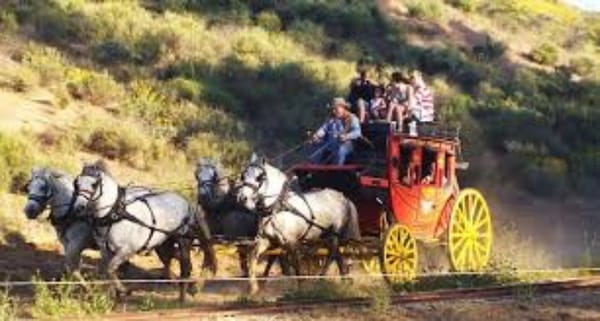 Who is Responsible for a Company’s Mood in the Middle? – the Wells Fargo Fiasco